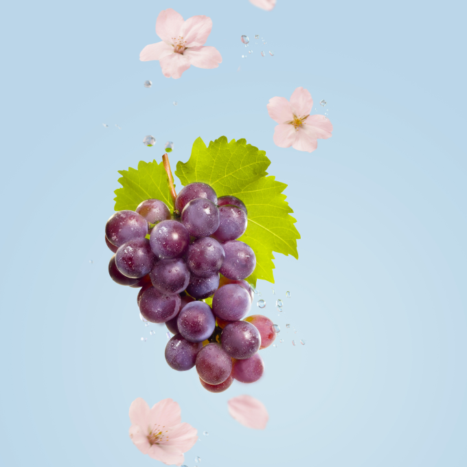 正品悦刻Relx五代外贸弹Pod Real 樱花葡萄(Sakura Grape)口味-三颗装 - 图片 2