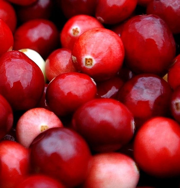 正品悦刻Relx外贸弹  蔓越莓(Cranberry Blast)口味-单颗装-(陶瓷芯版本)-三颗起售 - 图片 3