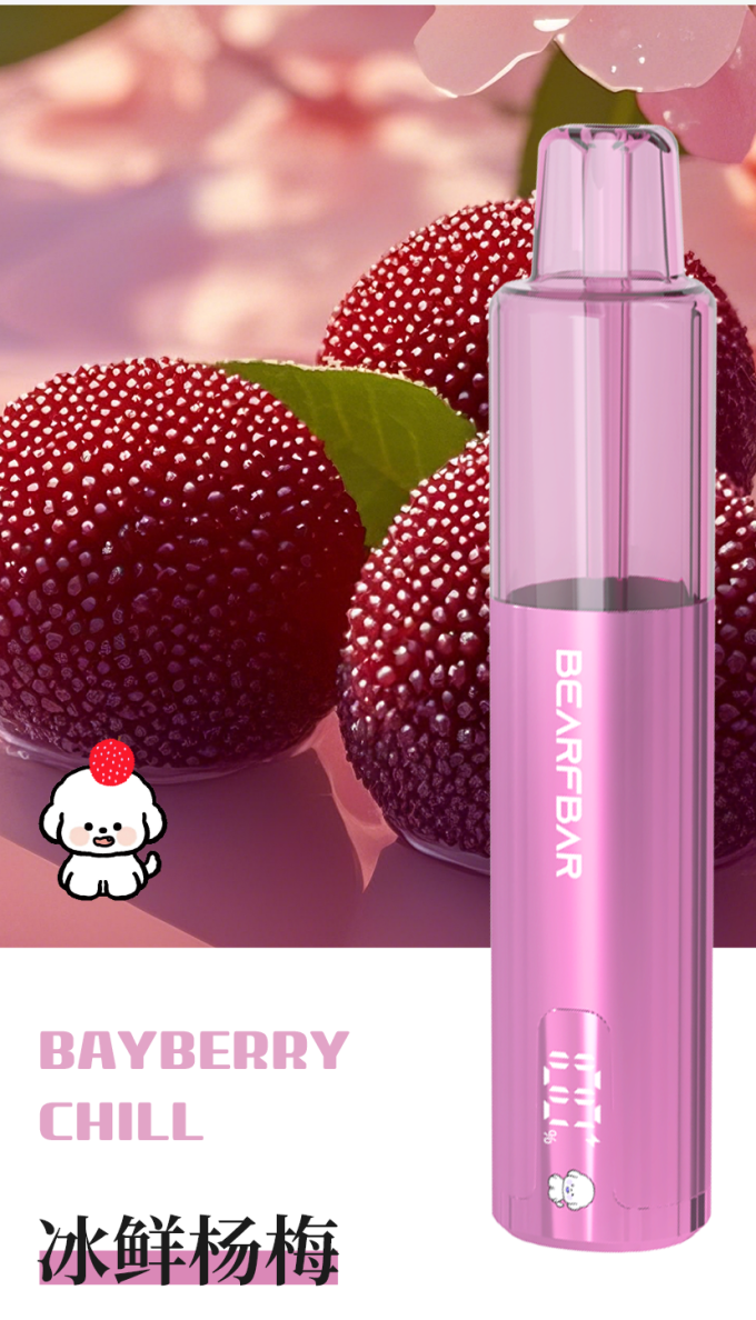 正品比熊三代BEARFBAR Crush 3.0 液晶显示屏15000口一次性电子烟-多口味可选 - 图片 17